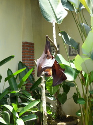 BALI - 2013 10 28 - 0956